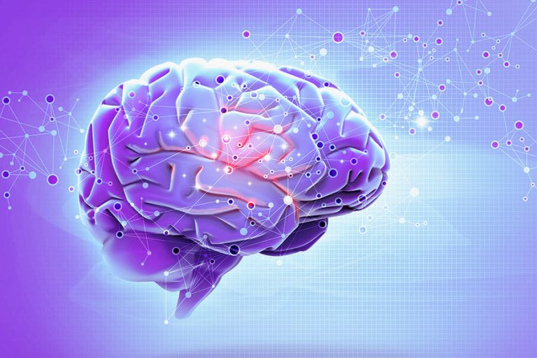 CURSO NEUROCIENCIA Y FUNCIONES EJECUTIVAS CEREBRALES 1
