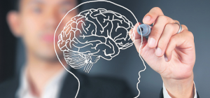 CURSO NEUROCIENCIAS APLICADAS A LA EDUCACIÓN
