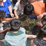 CURSO DE EDUCACIÓN AMBIENTAL